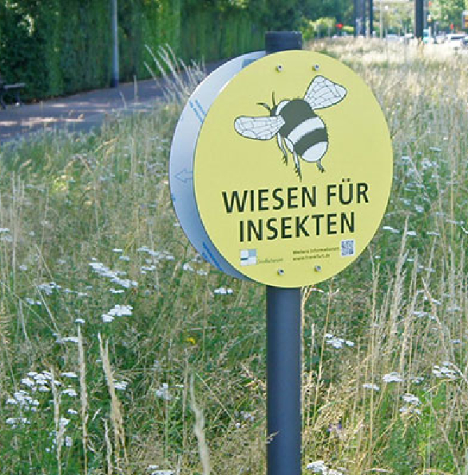 Gitta Connemann: „Im Ziel sind wir uns einig. Wir in der Union wollen mehr Insektenschutz. Unbedingt. Gemeinsam mit der Landwirtschaft. Diese hat dafür in den letzten Jahren viel getan – freiwillig. Leider ist dies nicht der Weg des BMU. Mit dem Gesetzentwurf drohen pauschale Unterschutzstellungen und Anwendungsverbote – und das ohne verlässliche Regelungen für die weitere Förderung oder einen finanziellen Ausgleich. Wir setzen auf Kooperation statt Eingriffe, Anreize statt Auflagen. Für dieses faire Mitein